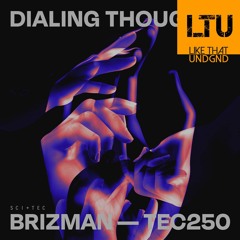Premiere: Brizman - Dialing Thoughts | SCI+TEC