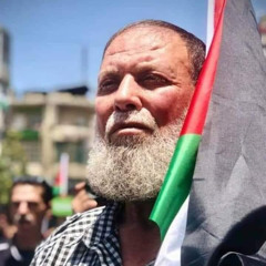 هامة التاريخ