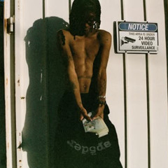 Nine Vicious - BABY SPYDER ft Young Thug (Snippet)