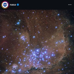 On the Dream-(freestyle🗣️)