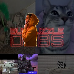 Bumfuzzle Dubs Diss Track @https://soundcloud.com/bumfuzzle-dubs