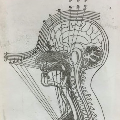 Mellow Overture