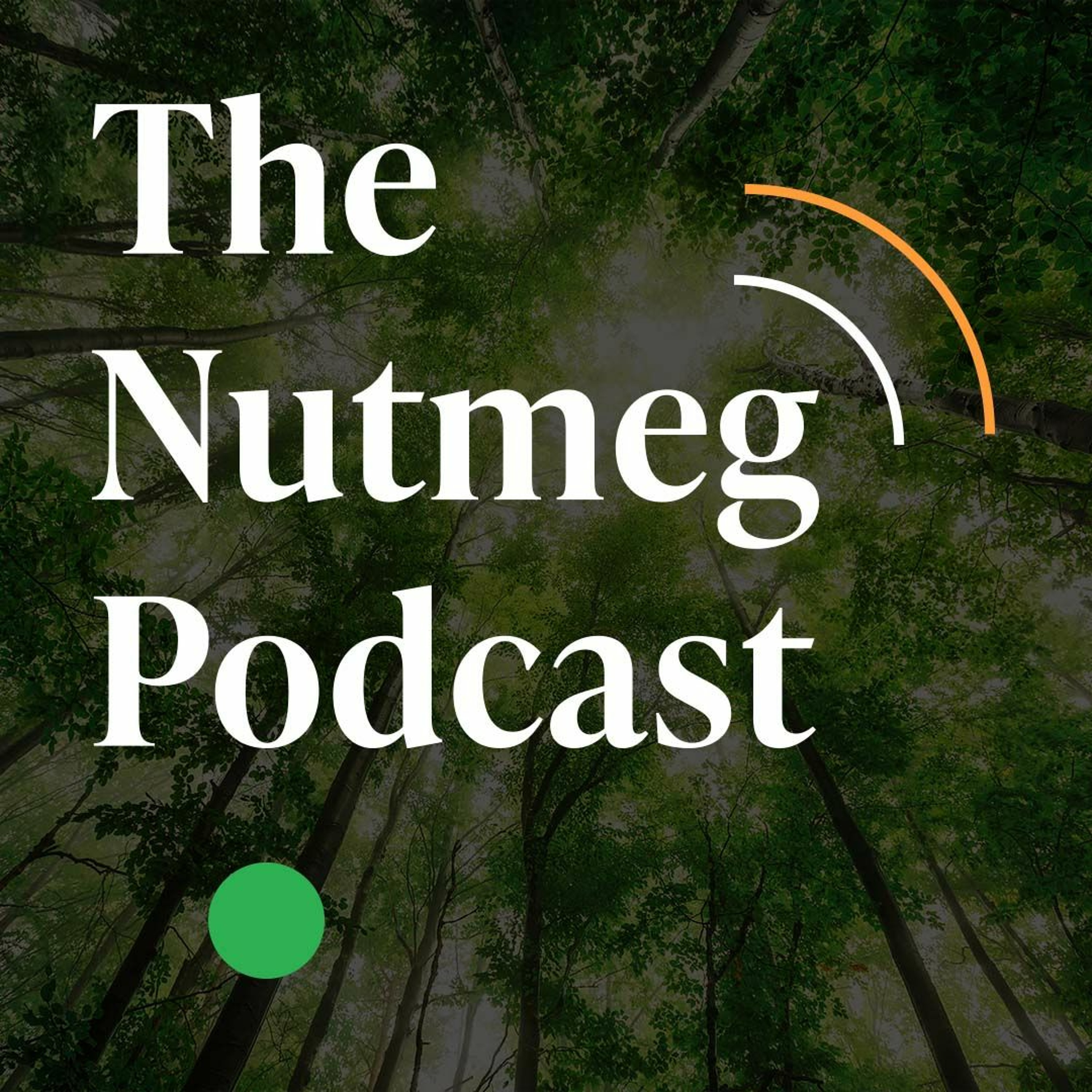 The Nutmeg Podcast | The fundamentals of ESG with Chuka Umunna thumbnail