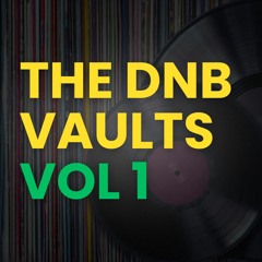 The DNB Vaults Vol 1 // Classic and Underground 90s Drum and Bass // Vinyl Only