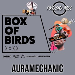 Box Of Birds (Promo Mix)