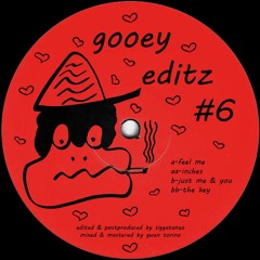 Times Are Ruff / Siggatunez / 3rd To The 6th Floor EP Times Are Ruff / Siggatunez / 3rd To The 6th Floor EP