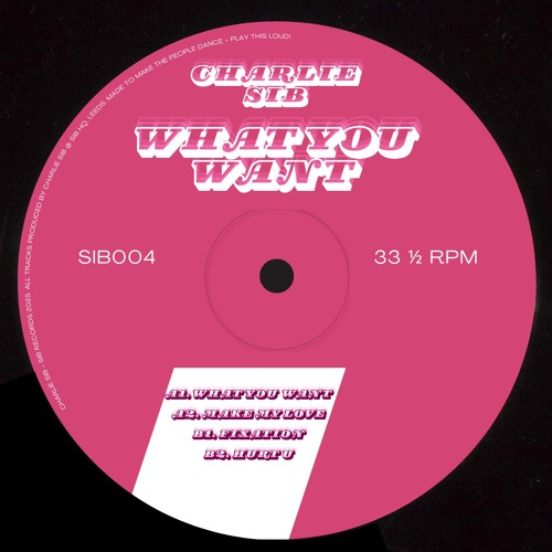 Charlie Sib - What You Want EP (Preview)