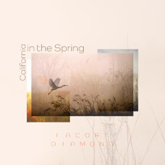 California in the Spring
