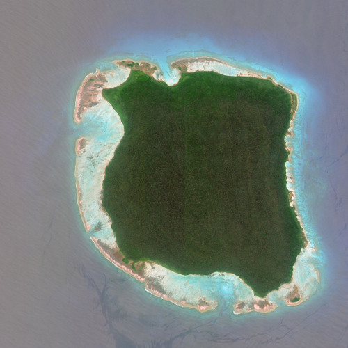 North Sentinel Island（サブスク配信中