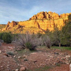 Goodbye Cruel Love (demo)