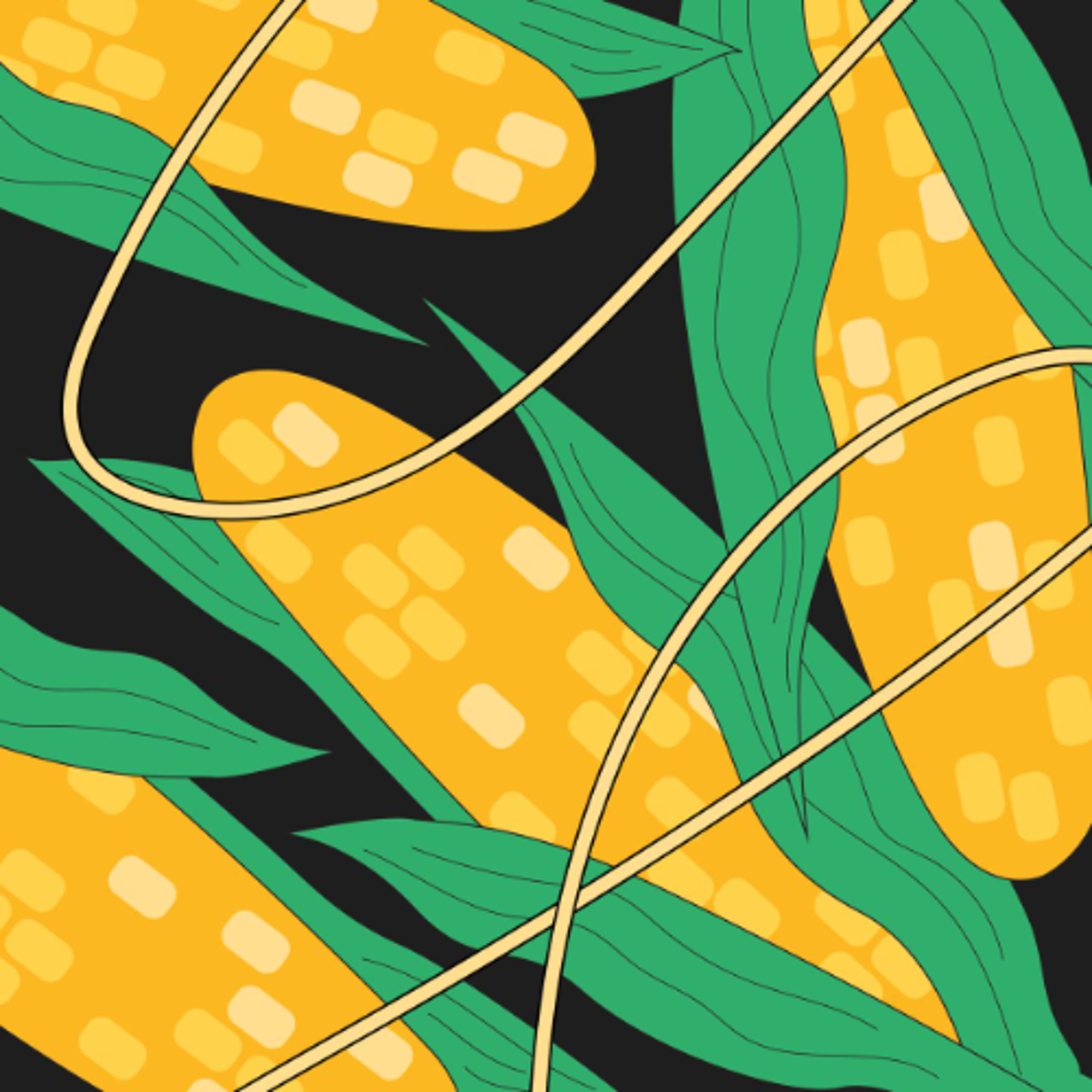 Ferment Station w/ Mini Zucchini (07.07.2026) episode artwork