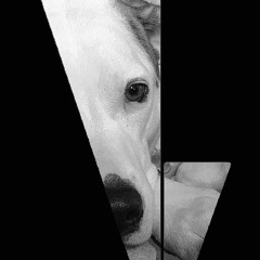 Molson