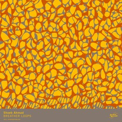 Shoeb Ahmad - "2.7"