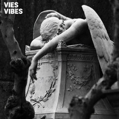 VIES VIBES - Ashes | Out Now