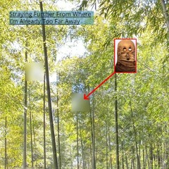 Spoken Prior To Confusion