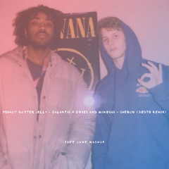 Peanut Butter Jelly - Gallantis X Doses and Mimosas - Cherub (Tiesto Remix)  (THEE LANE Mashup)