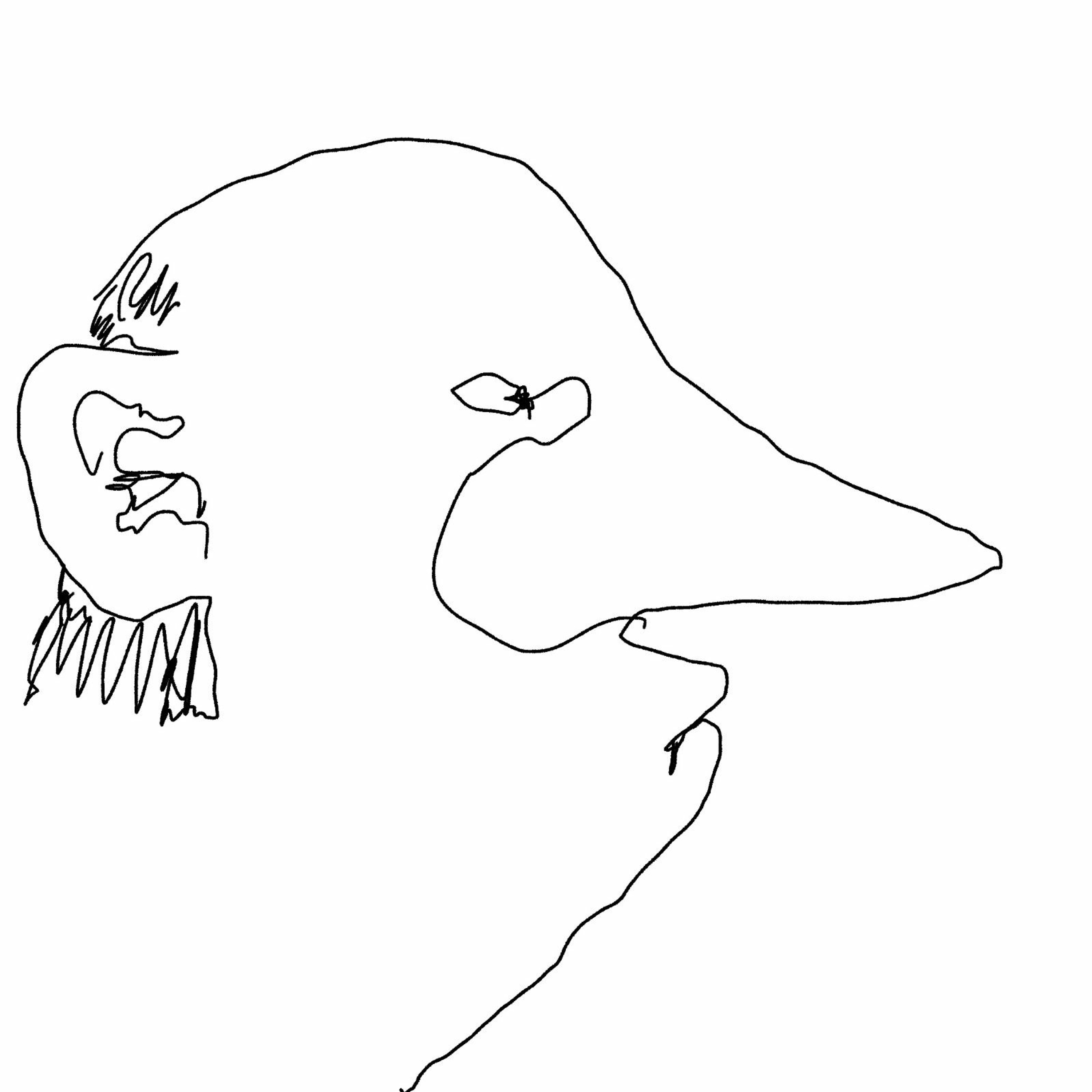 NackenNacken Stories