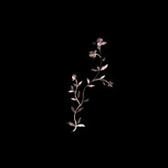 Spring Recall Vol.1