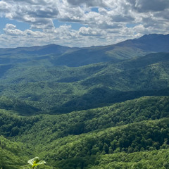 never let u (Izzy Kai Remix)