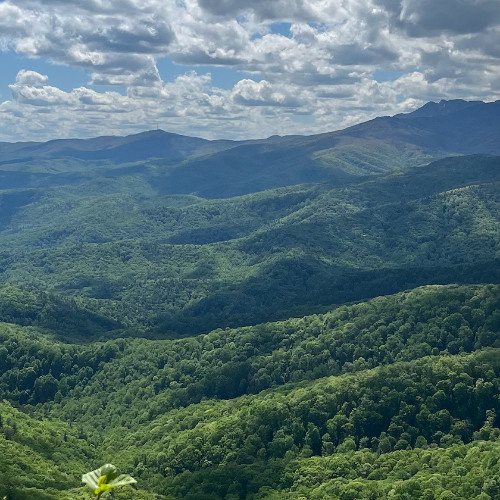 never let u (Izzy Kai Remix)