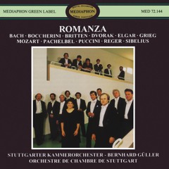 Divertimento No. 17 in D Major, K. 334: III. Menuetto
