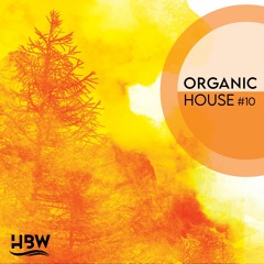 Organic House Vol.10 - Zizzi Selection