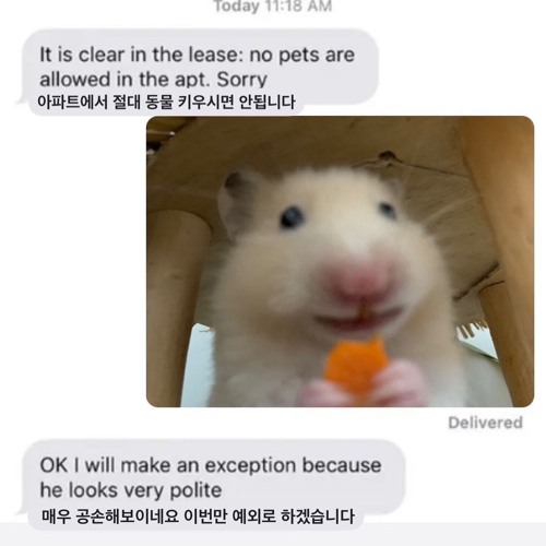 Antifreeze- 검정치마, 백예린 cover