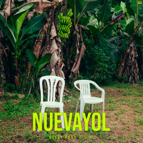 Nuevayol 🪑(Deivy Ross Edit 2025) CLICK TO BUY!!!