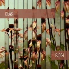 Dynamic Reflection Podcast Series 004: DEAS