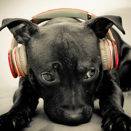 Pied Piper - Disco Police Jam No 4 (CRIB Radio LIVE Set) HR #1 - 2 FLAC