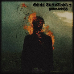 SOUL SURVIVOR 2