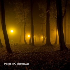 Poisonoise Music - Guest Mix - EPISODE 207 - SEGENSKLANG