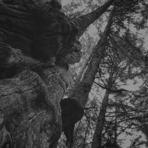 • HIGHREST FT. CANIGOU •