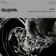 JAJ - AMBIVALENT GROOVES EP [NR025]