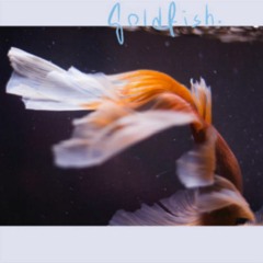 goldfish.