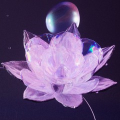 Northern natives (Lost project)