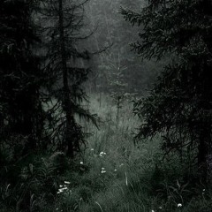 No one will find us (prod. Zamaxx)