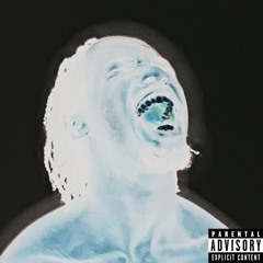 BEASTIEBOIS (feat. project dxff!) (slowed & reverbed)