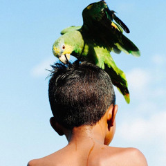 רכבת נשמה - soul train