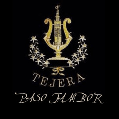 BM Maestro Tejera - Paso Lento