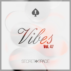 Vibes Vol.47