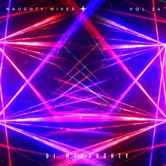 Naughty Mix Vol 24 (Sloppy Seconds)