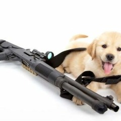 Mike Block - Golden Retriever