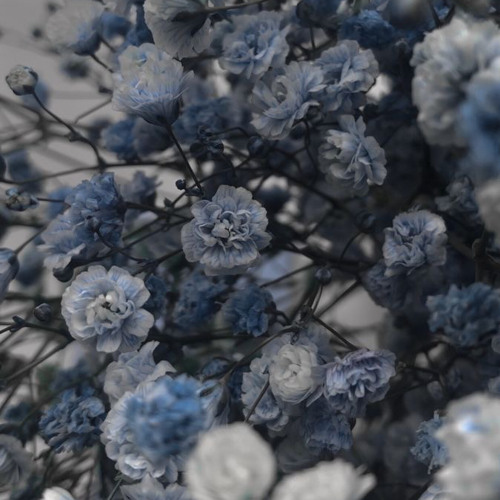 Navka - А ти їй дай такий отвіт яка чудова майська ніч TikTok remix