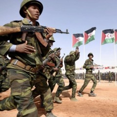 100. The War for the Western Sahara