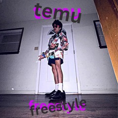 TEMU FREESTYLE