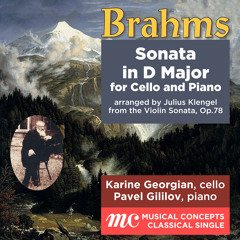 Sonata for Cello and Piano in D Major (after the Violin Sonata, Op.78)