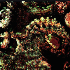 SHH (moog’d out mix)