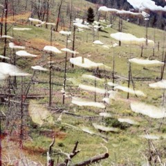 Emerge and Regenerate