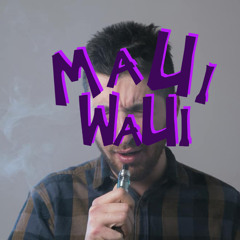 MAUI WAUI - NIC LEVEL